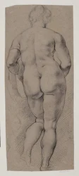 Standing Female Nude Seen from the Back