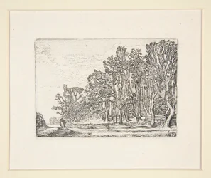 Two Plank-Hedges, Plate 6 from The Set of the Landscapes