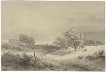 Dune Landscape in Gloomy Weather