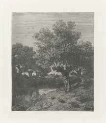 Ducks by a Ditch