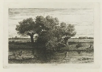 Fisherman by the Pollard Willows