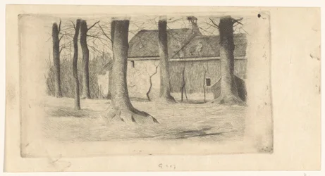 Trees by a House