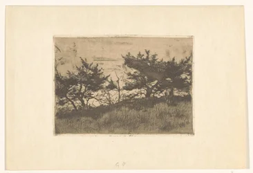 Trees on a Hill