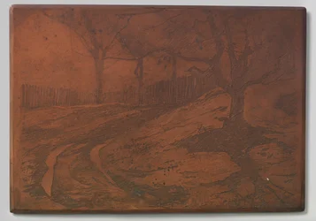Dune path