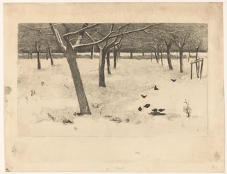 Snowy Orchard with Birds