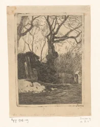 Trees and Bundles of Branches by a Fence