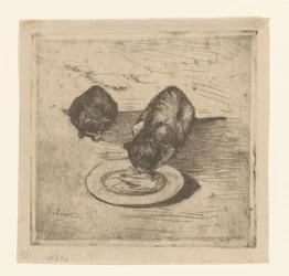 Two Cats, One Drinking from a Plate