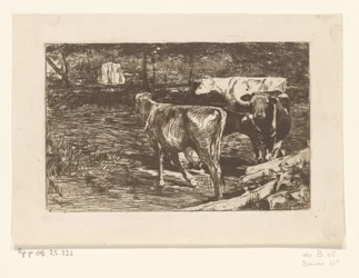 Four Cows in a Meadow