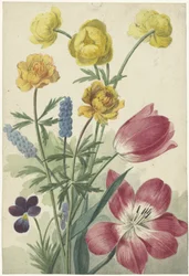 Bouquet of Tulips, Violets, Grape Hyacinths, and Marsh Marigolds
