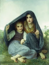 The Shelter
