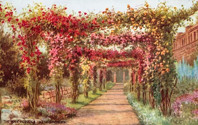 The Rose Pergola, Kew Gardens
