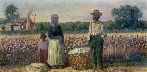 Cotton Pickers in the American South
