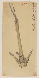 WD 959 section 2 f.122