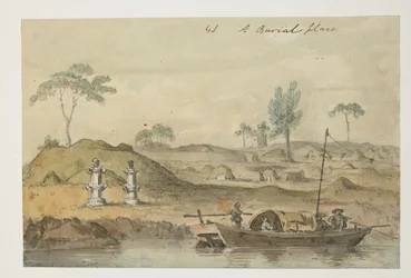 WD 961 f.41