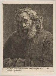Old Man with a Long Beard
