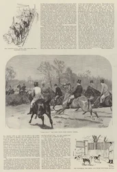 The Grafton Hunt