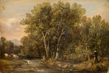 Wooded Landscape