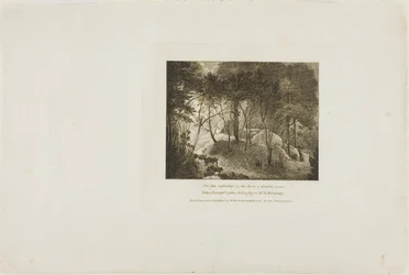 Sun Reflecting on the Dew, A Garden Scene