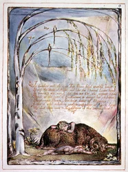 "In Thunders Ends the Voice", plate 7 from 