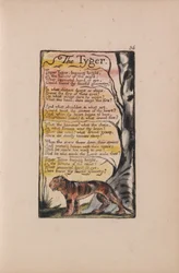Songs of Innocence and of Experience, Plate 36, The Tyger (Bentley 42)