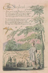 Songs of Innocence and of Experience, Plate 4, "The Shepherd" (Bentley 5)