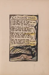 Songs of Innocence and of Experience, Plate 50, A Poison Tree (Bentley 49)