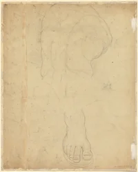 The Belvedere Torso (verso)