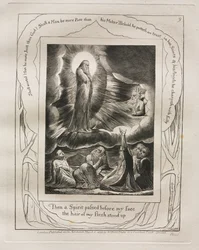The Book of Job: Pl. 9, Then a Spirit passed before my face, the hair of my flesh stood up