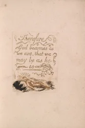 There Is No Natural Religion, Plate 9, Therefore God becomes.... (Bentley b12)