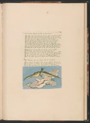 Visions of the Daughters of Albion, Plate 6, And None but Bromian