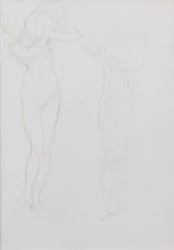 Study