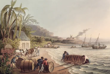 Loading Barrels of Rum and Sugar, Antigua