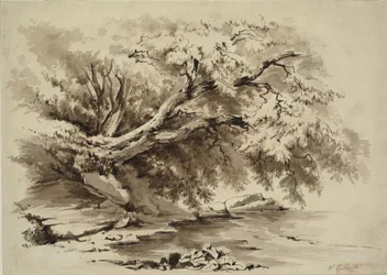 Landscape with Trees Overhanging a Lake