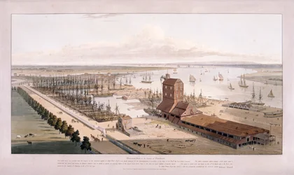 Brunswick Dock, and East India Dock, Poplar, London, 1803