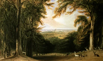 Wooded landscape, Windsor