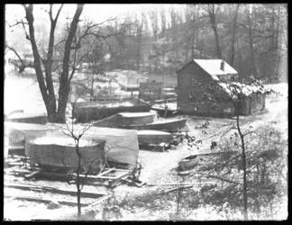 Boats at Seeley
