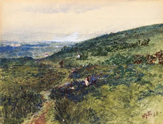 Coast Scene