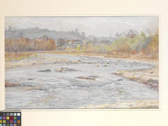 Whitewater Rapids