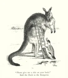 The Duck And The Kangaroo