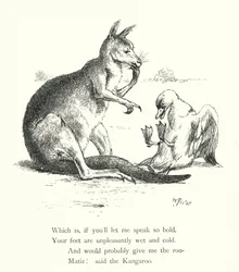 The Duck And The Kangaroo
