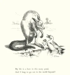 The Duck And The Kangaroo