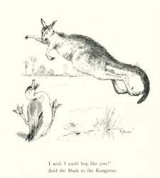 The Duck And The Kangaroo