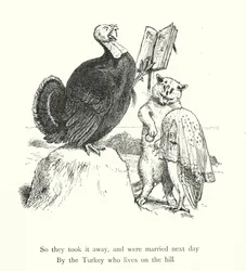 The Owl And The Pussy Cat