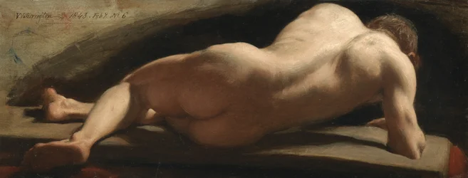 Male Nude