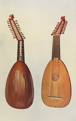 Musical Instruments: Lute