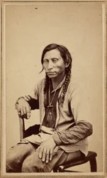 Gray Wolf, 1860s