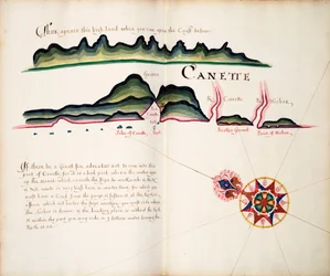 Canette