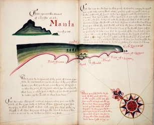 Manta