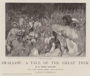 Swallow, A Tale of the Great Trek
