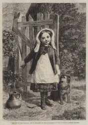 The Pet of the Village